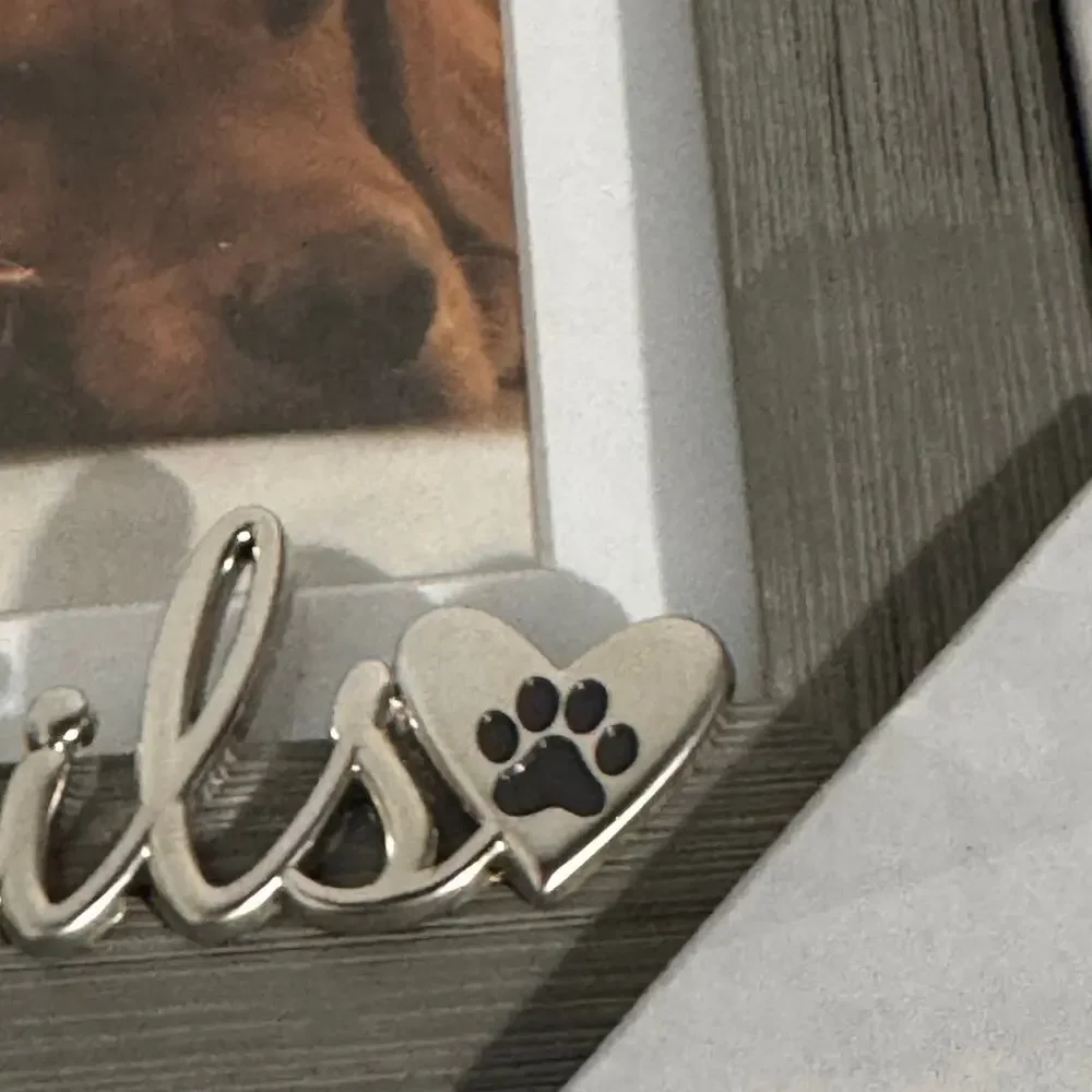 Malden Congratulations Friends Pet Picture Frame Silver Paw Print 5X7 or 4x6